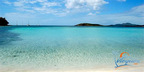 The Amazing Beaches of Vieques… One of the Islands of Puerto Rico | Vieques