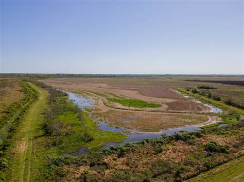 Texas Coastal Land For Sale | Coastal Prairies | Republic Ranches