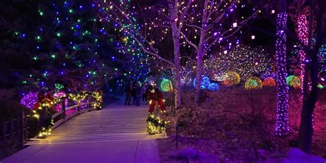 Blossoms of Light at Denver Botanic Gardens - Double Snuggle