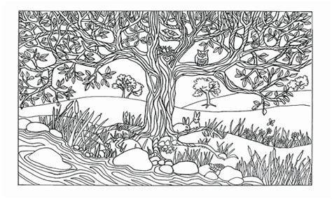 25++ Free nature coloring pages for adults ideas in 2021