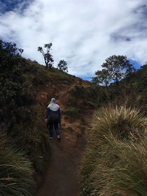 Trekking at Horton Plains National Park | Travelogee