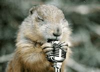 Groundhog day GIFs - Get the best gif on GIFER