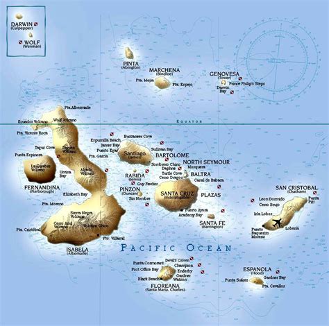 Galapagos Islands: Darwin Inspiration - PRETEND Magazine