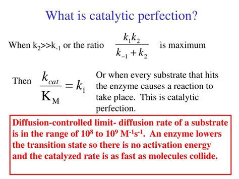 PPT - Enzyme Kinetics I PowerPoint Presentation, free download - ID:298555