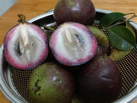 Canadian ginseng meets Vietnamese star apple in Saigon sorbet | Vietnam Life