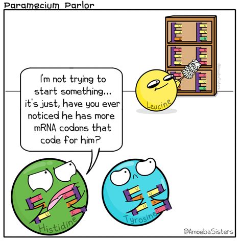 Protein Synthesis Cartoon Strip