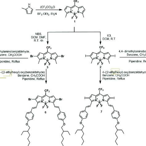 The singlet oxygen generation process of compound 7. | Download ...