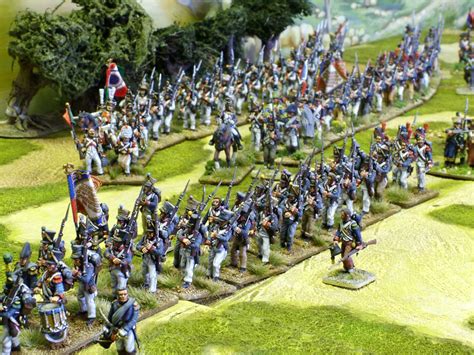 Programma Irrequieto Intrattenere 28mm plastic napoleonic miniatures Impegno macellaio Potente