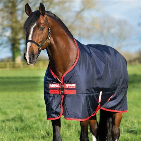 Rambo Original 200g Medium Turnout Blanket – Performance Horse Blankets