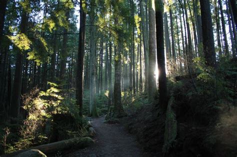 Buntzen Lake Trail Photo | 2016 Hiking Photo Contest | Vancouver Trails