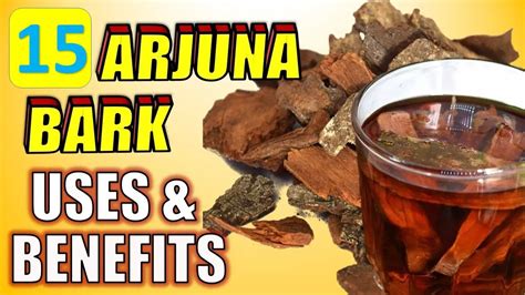 15 POWERFUL Arjuna Bark Health Benefits | ARJUNA Powder & Tea Uses ...