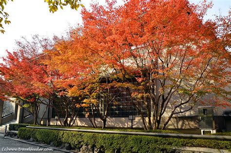 Photos of Higashiyama walking trail Autumn colours in Kyoto