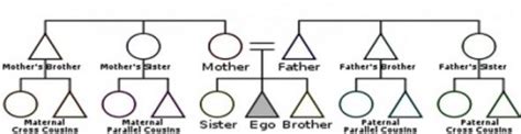 Kinship System Terminology | HubPages