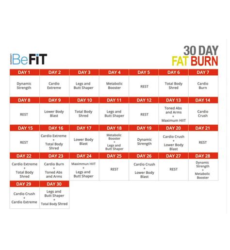 Product Review: BeFit 30-Day Workout Program + Giveaway! - Running on Happy