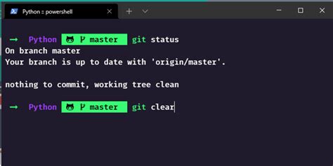 Customize your terminal using oh-my-posh theme - DEV Community