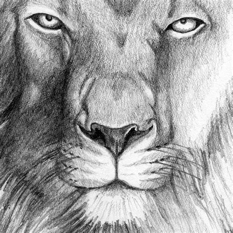 King Lion Head Pencil Art Drawing