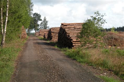 Avverkning för "Hässleholm Norra" | Slott, Stad