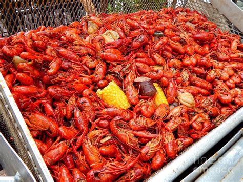 Pin by Elisa M. on Food | Crawfish, Crawfish season, Fried fish