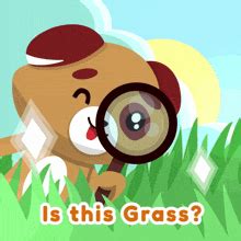 Grass Privileges GIF - Grass Privileges Meme - Discover & Share GIFs