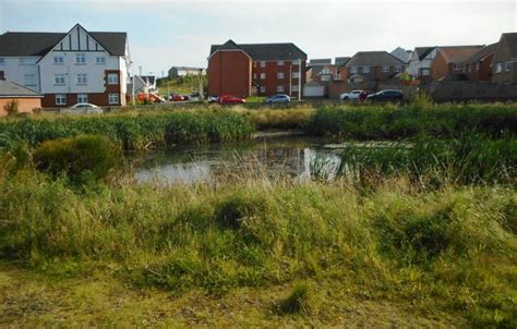 SUDS pond © Richard Sutcliffe cc-by-sa/2.0 :: Geograph Britain and Ireland