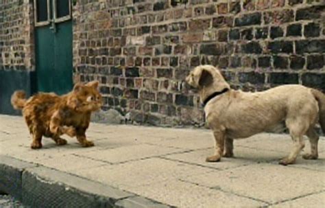 Garfield: A Tail of Two Kitties (2006) - Cinema Cats