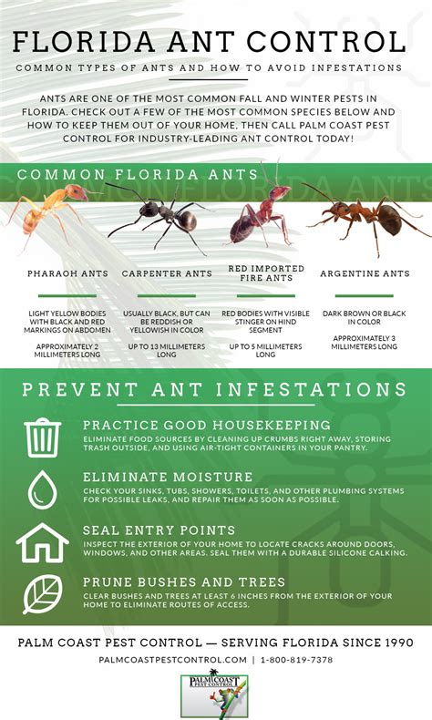 Ant Control Tips for Fall and Winter - Pest Control Jupiter | Termite Control Florida | Lawn ...