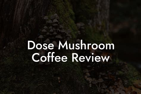 Dose Mushroom Coffee Review - Mr Mushroom