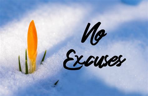 No Excuses – Growing 4 Life