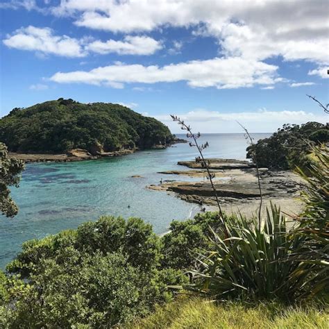 Goat Island Marine Reserve, Leigh, NZ | Clearyak