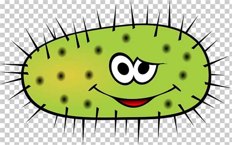 Bacteria Cartoon PNG, Clipart, Animation, Bacteria, Bacteria Cliparts Png, Bacterial Cell ...