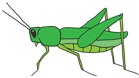 Cartoon Grasshopper - ClipArt Best