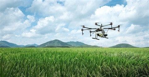 Drones For Precision Agriculture – Drone Reviews