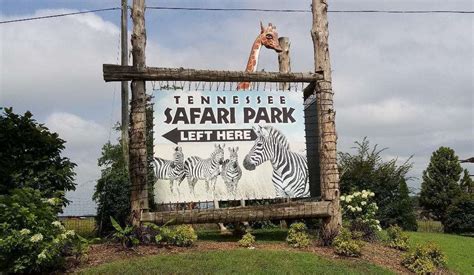 Enjoy Animals Up Close and Personal at the Tennessee Safari Park