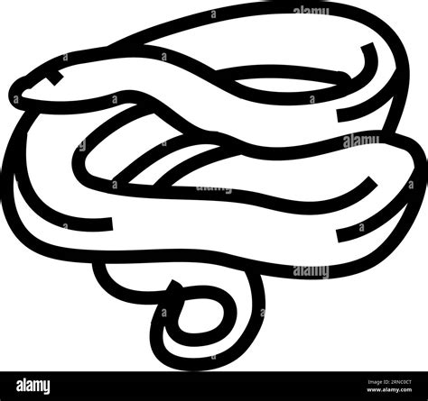 anaconda animal snake line icon vector illustration Stock Vector Image & Art - Alamy