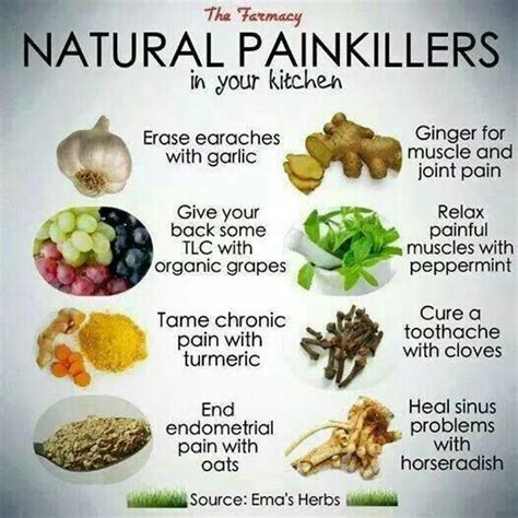 Good to know. Natural Healing Remedies, Natural Cures, Herbal Remedies, Health Remedies, Natural ...