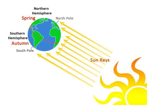 The Seasons - The K8 School | Seasons lessons, Four seasons, Geography activities