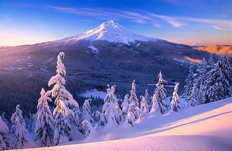 Mount Hood Oregon . One plus, Oregon Forest Night HD wallpaper | Pxfuel