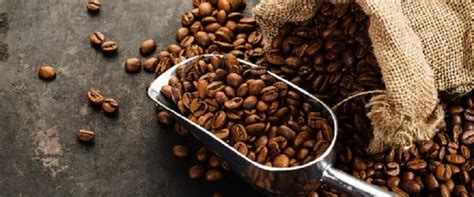 Where to Find the best Organic Coffee Beans in Australia?