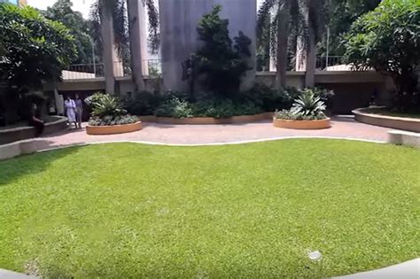 WATCH: Find 'smiling tamaraw' inside FEU campus | ABS-CBN News