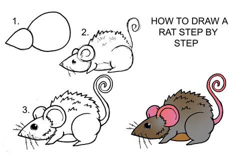 DARYL HOBSON ARTWORK: How To Draw A Rat Step By Step