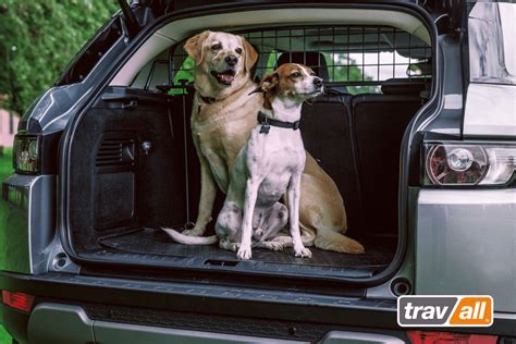 The Perfect Dog Car Barrier for your Travel Buddy - Travall Blog Website