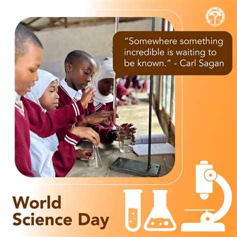 World Science Day for Peace & Development: Celebrating Women in Science - Asante Africa Foundation