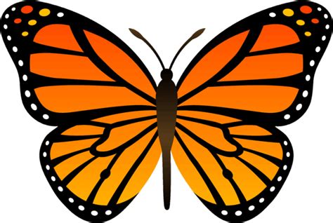Blue Butterfly Download Free Png Images