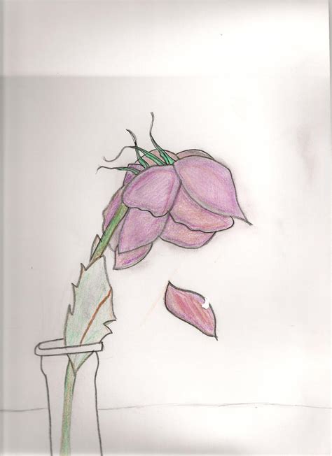 Flower - Drawing Skill