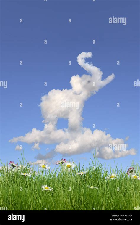 Field of flowers, cloud shaped like an elephant, illustration Stock ...