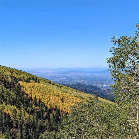 Early fall colors in Santa Fe National Forest. : r/NewMexico