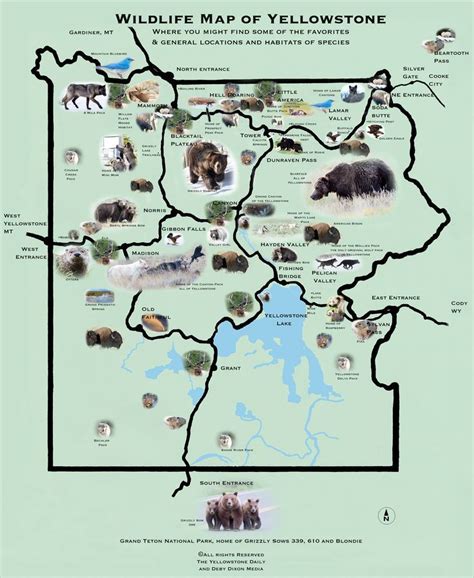 yellowstone map | Wildlife Map of Yellowstone – the yellowstone daily – Photography ...