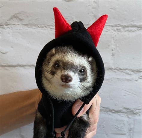 Devil's Amazing Ferret Costume. Ferret Costume Ferret - Etsy Sweden