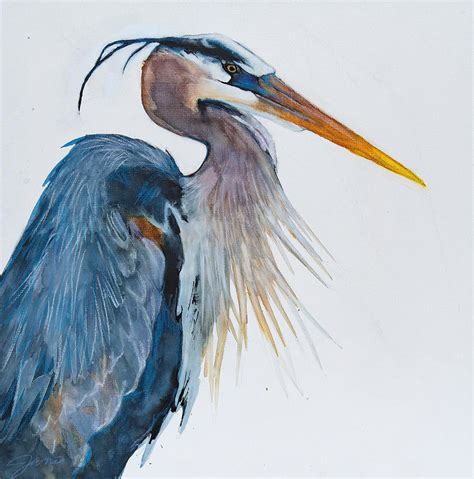 Great Blue Heron by Jani Freimann | Heron art, Watercolor bird, Bird art