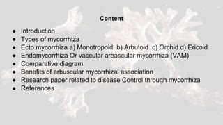 Mycorrhiza and types | PPT